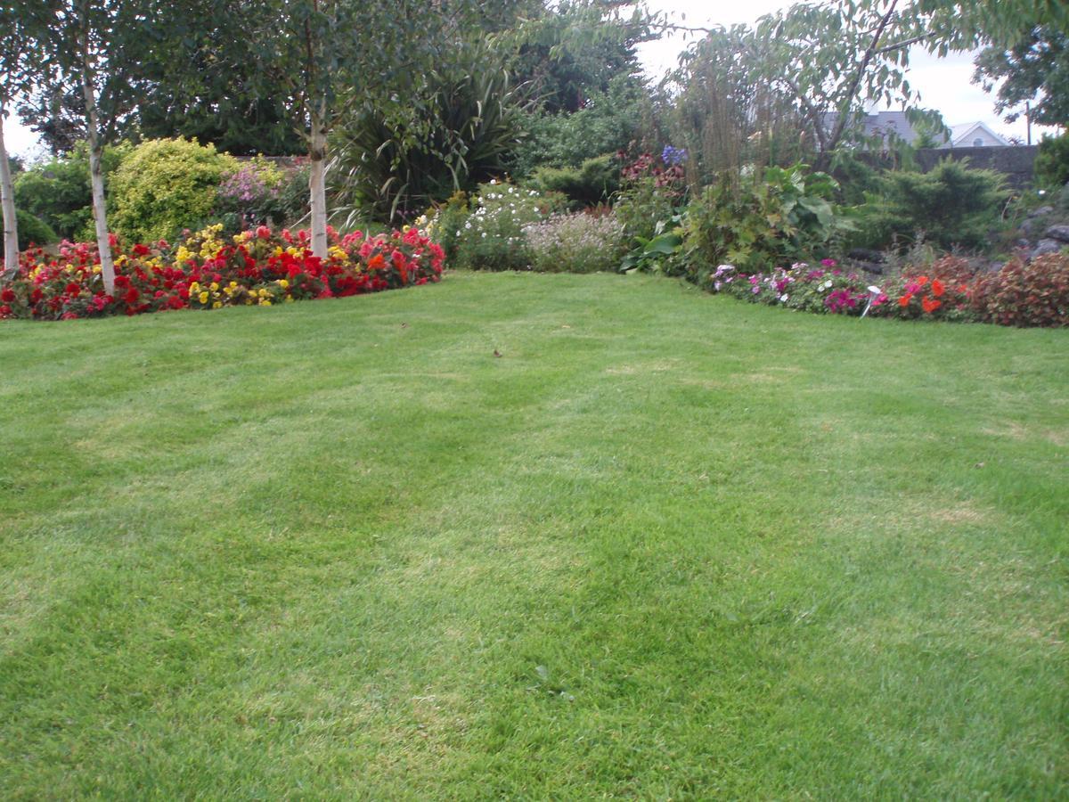 Rosdarrig Bed&Breakfast Boyle Exterior foto