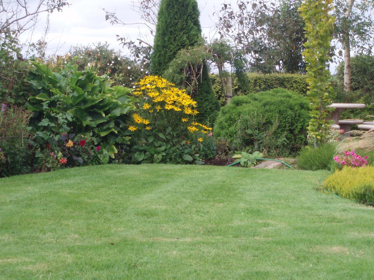 Rosdarrig Bed&Breakfast Boyle Exterior foto